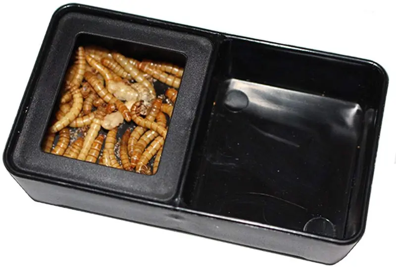 omem gusano plato Mini reptil comida y tazón de agua 2 en 1