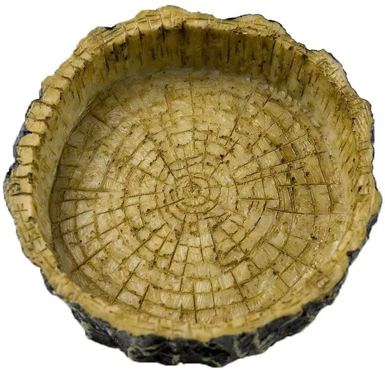 OMEM Reptile - Plato de comida y agua (resina)