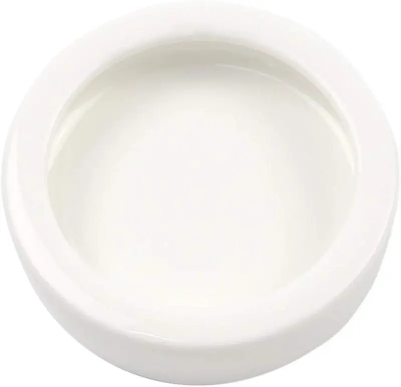 OMEM Worm Dish Mini Reptile Food Bowl Ceramics Made