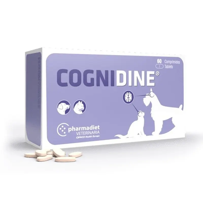 Opko Cognidine (60 comprimidos)