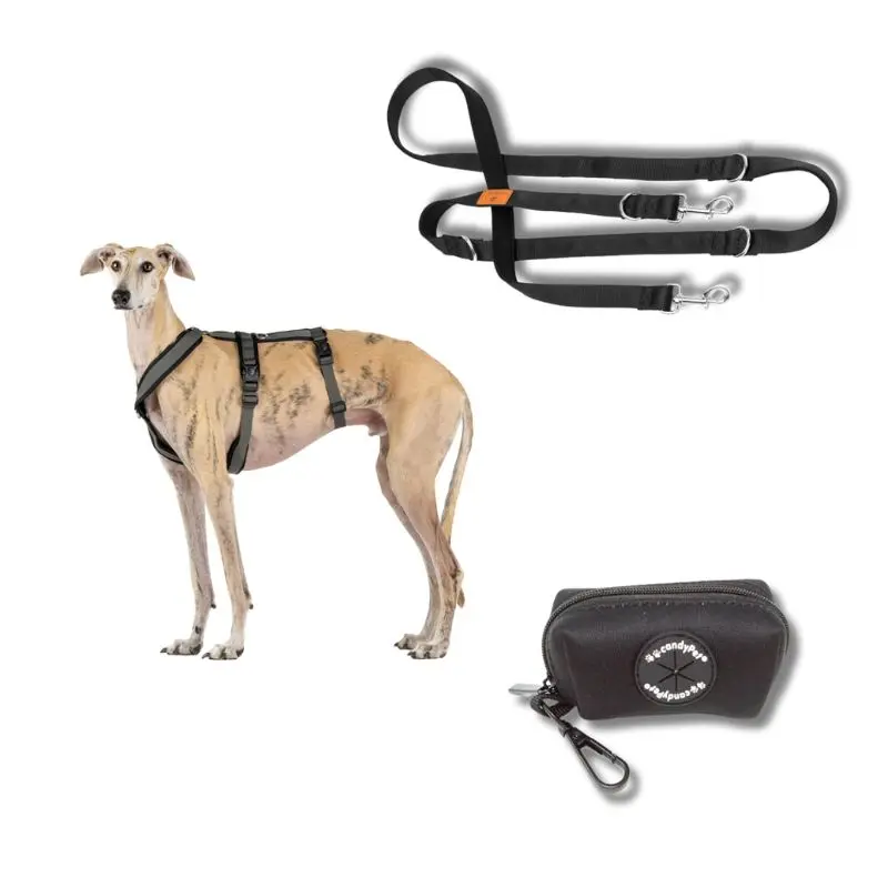 Pack Arnés Antiescape + Correa Manos Libres + Portabolsas
