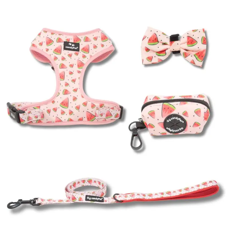 Pack Arnés Neopreno Watermelon