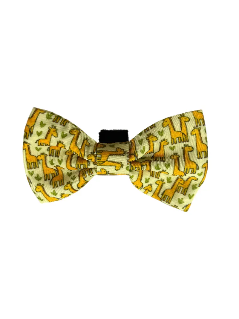 Pajarita Safari Giraffe