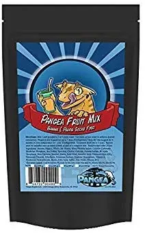 Pangea Fruit Mix Gecko Treat