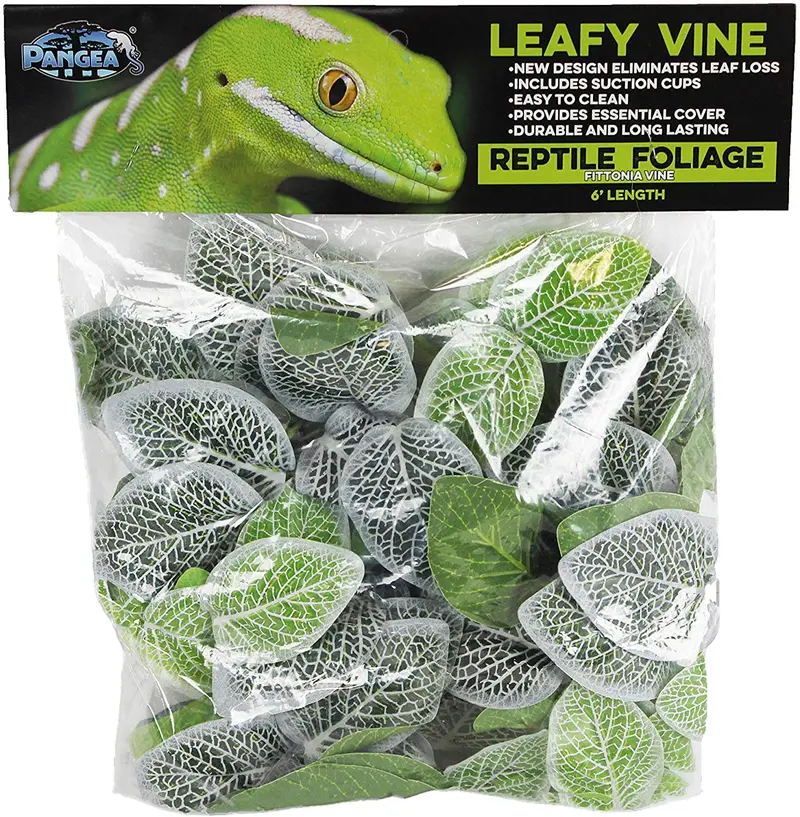 Pangea Leafy Vine