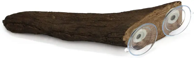 Pangea succión árbol rama
