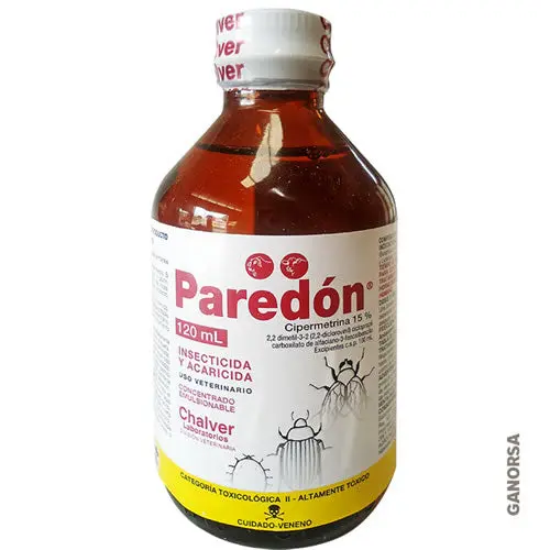 PAREDON X 120 CC