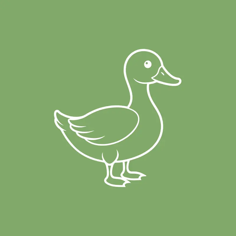 Pato Box (Snacks) para perros