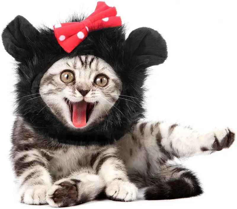 pawaboo Pet Costume, Fancy cómodo esponjoso gato peluca Sombrero Ropa Disfraz Para Cosplay Halloween Navidad Festival Party Dressing Up