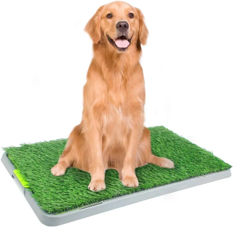 PAWISE - Bandeja de entrenamiento para perros (portátil, para orinar en interiores, bandeja de suelo para cachorros, tamaño grande