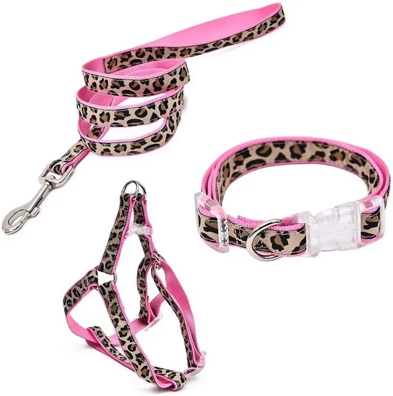 PAWZ Road Leopard - Juego de arnés para collar de mascota