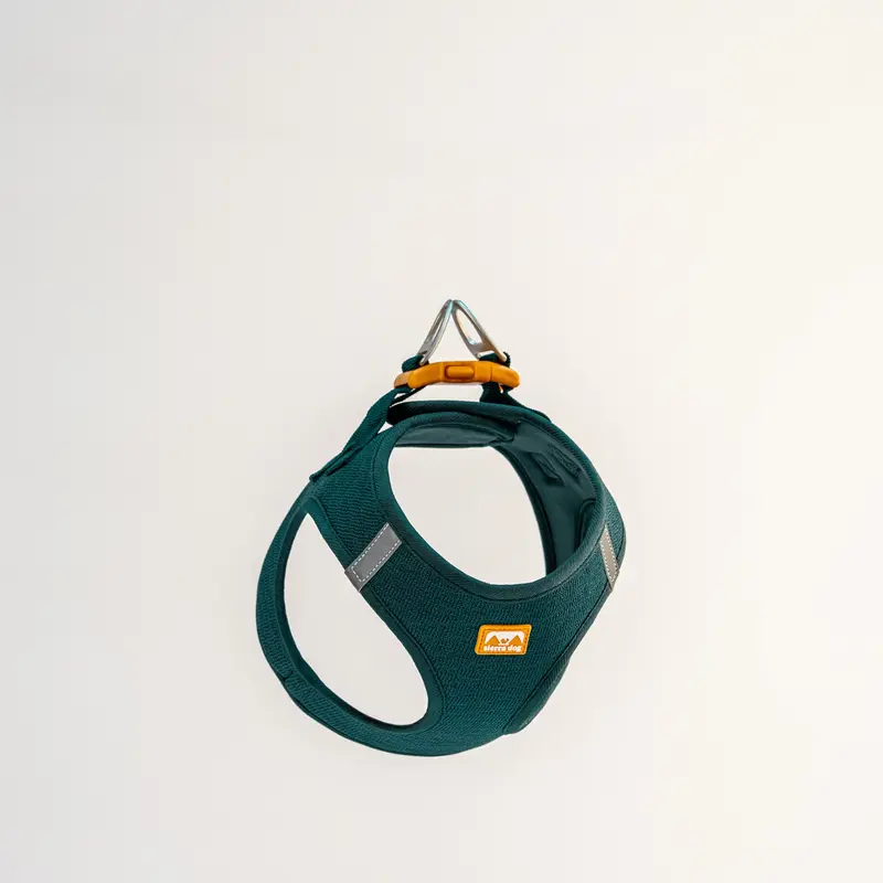 Pechera Sierra CloudVest Verde Jade para Perros