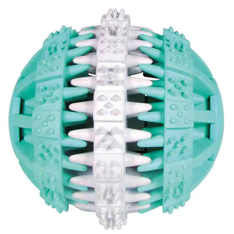 Pelota Denta Fun