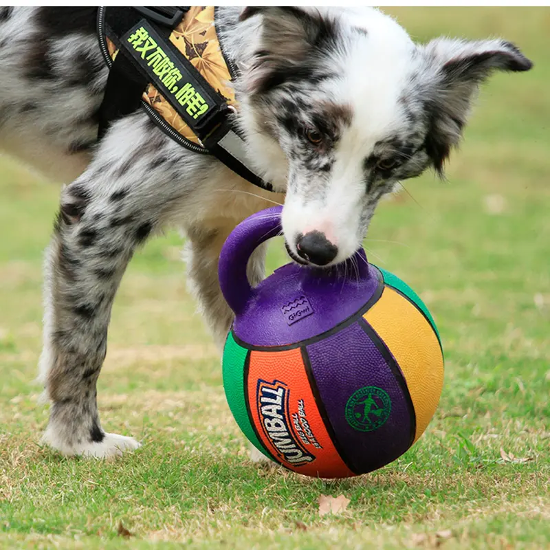 Pelota Jumball Basket S