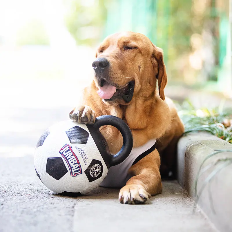 Pelota Jumball Football