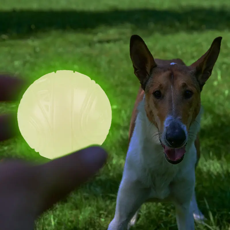 Pelota Skipdawg Reflectiva