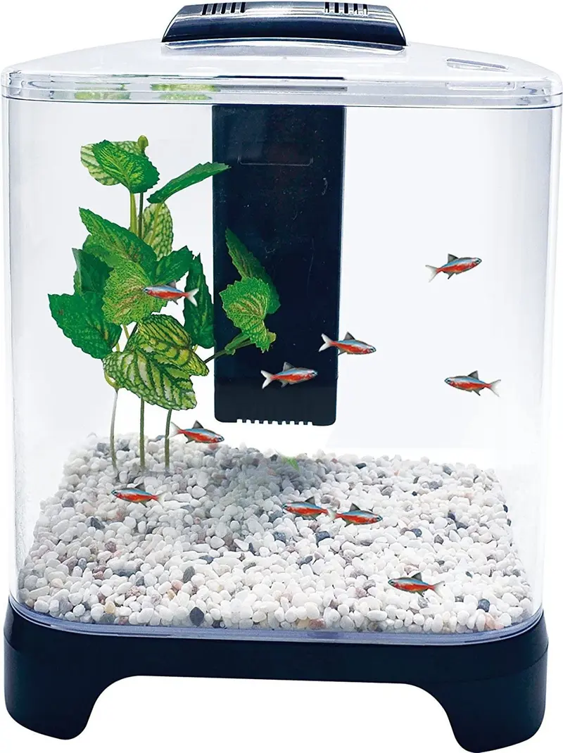 Penn Plax Betta - Kit de acuario para acuario con luz LED y filtro interno tamaño de escritorio, 1,5 galones