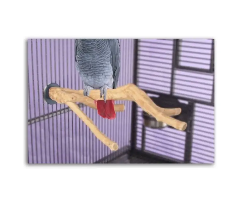 Perchas de madera para Pájaros Jaca Multibranch