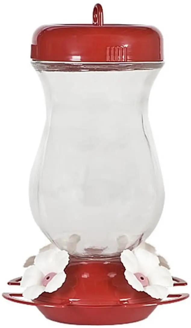 Perky Pet Colibrí alimentador de vidrio (24 oz Vida Como