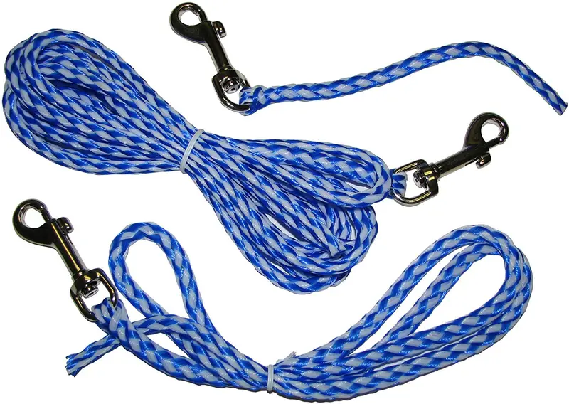 Perro perfecto Libertad Formación Líneas Set, 9-inch