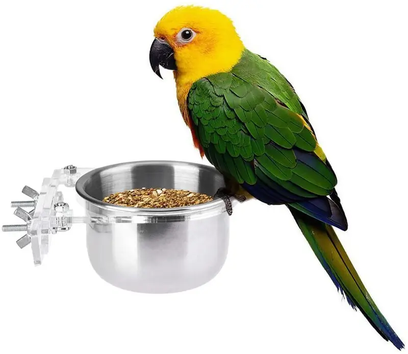 Pet Bird Alimentos Alimentación y agua potable Hanging Cup Acero Inoxidable Coop Colgador para Parrot Cage Budgie