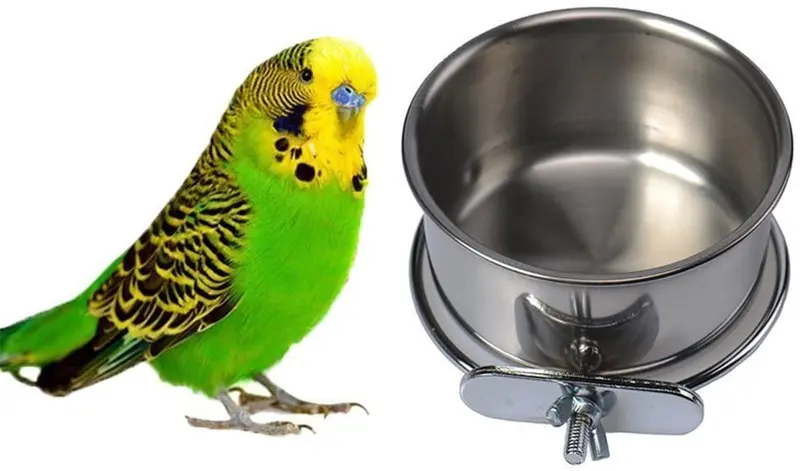 Pet Bird Alimentos Alimentación y agua potable Hanging Cup Clamp Holder acero inoxidable Bowl para colgar Parrot Macaw africana grises Budgies Periquito Cockatiels Conure Lovebirds Finch Paloma Jaula