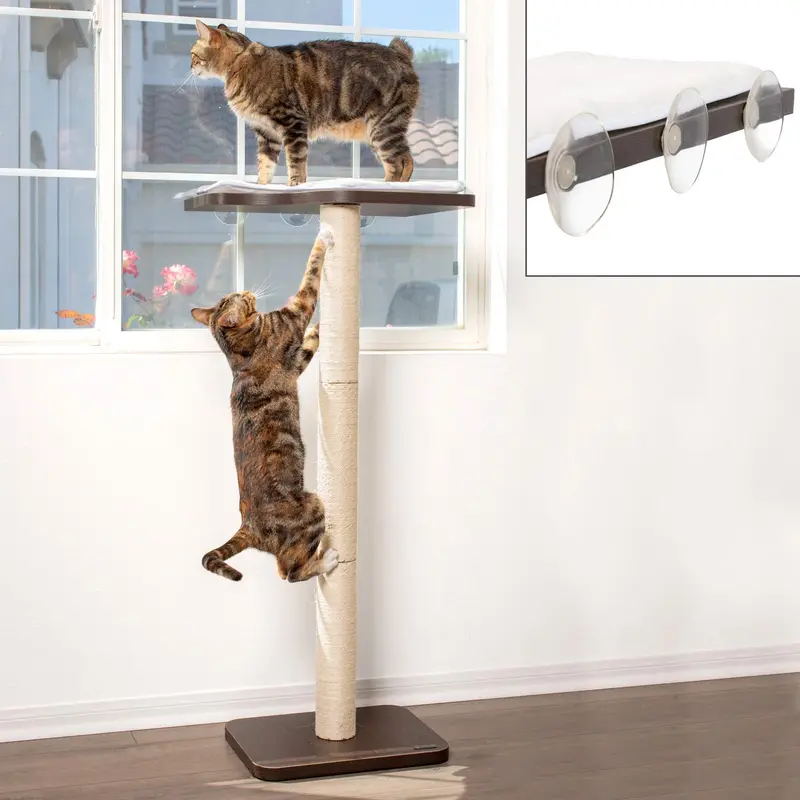 PetFusion Ultimate - Percha de escalada para ventana de gato (45.0 in de alto, diseño moderno, simplemente succiona a la ventana.