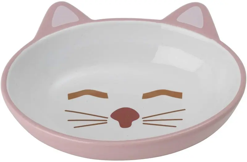 PetRageous Designs Here Kitty - Cuenco ovalado para mascotas (5.50 in), color rosa y azul