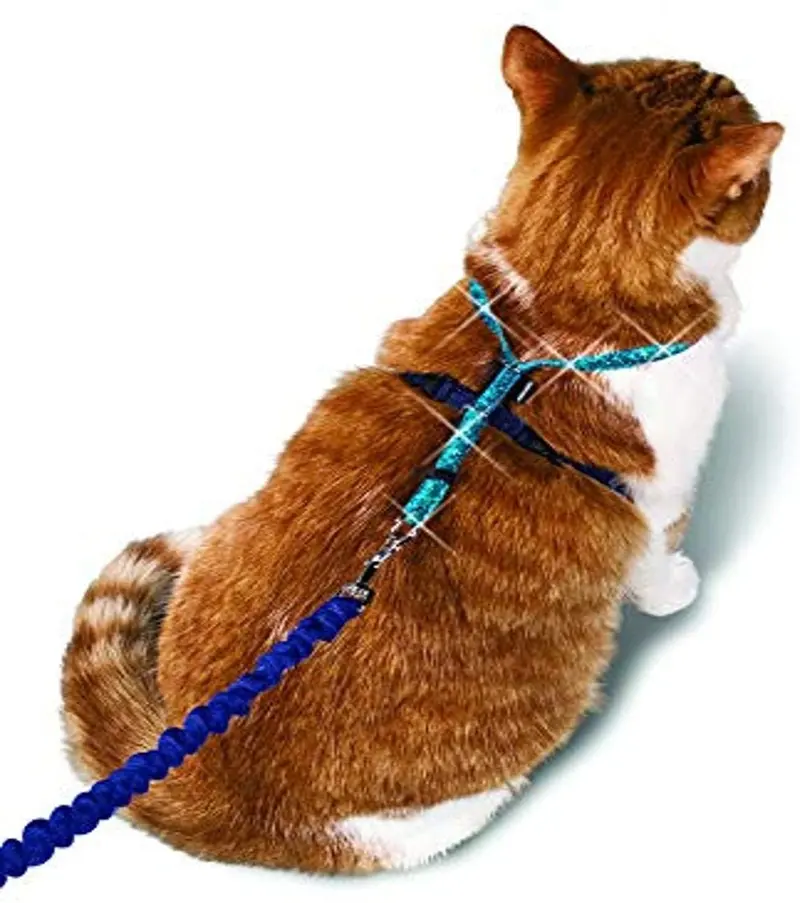 PetSafe Come With Me Kitty – Arnés y Bungee Correa, Sparkle Azul