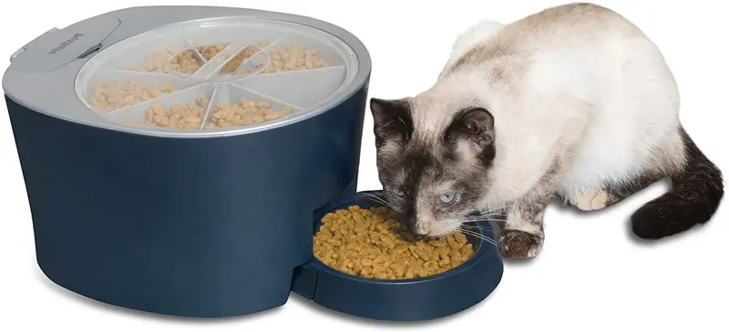 PetSafe - Comedero automático de seis comidas para mascotas, dispensa comida para gatos y perros, reloj digital con pilas y pantalla LCD