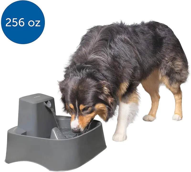 PetSafe Drinkwell 2 Gallon and Big Dog Pet Fountains - Automatic Dog and Cat Water Fountain - Best for Medium to Large Breeds and Multiple Pets