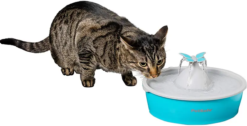 PetSafe Drinkwell Cat and Dog Water Fountain - Butterfly or Original Pet Drinking Fountain - Best for Cats and Small Dogs
