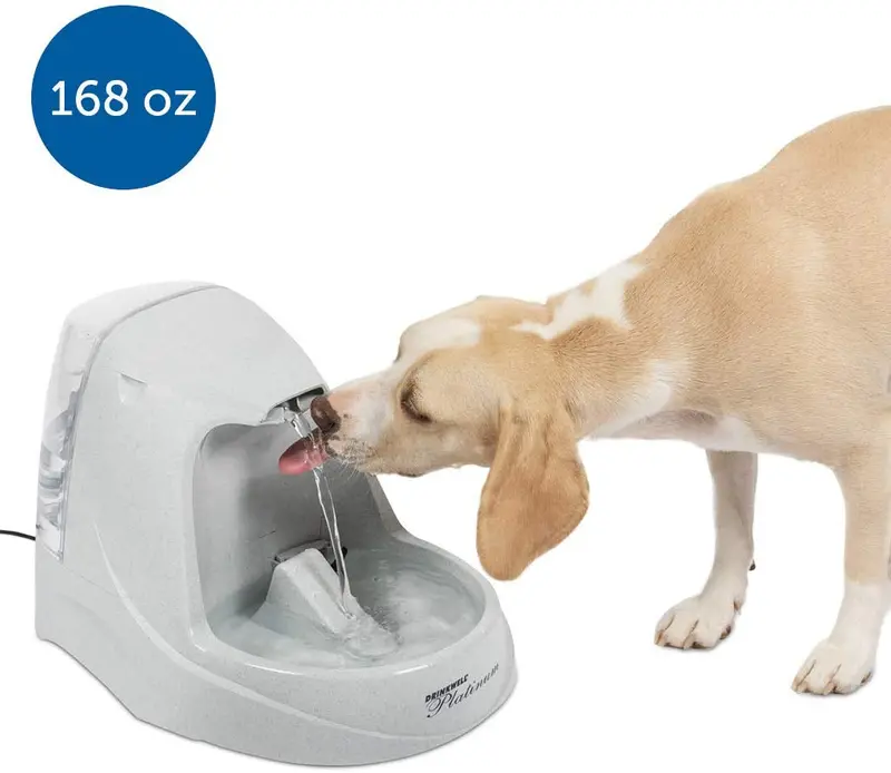 PetSafe Drinkwell Fuente de agua para gatos y perros – Platino, 1/2 o 1 galón para mascotas – 64 oz, 128 oz o 168 oz