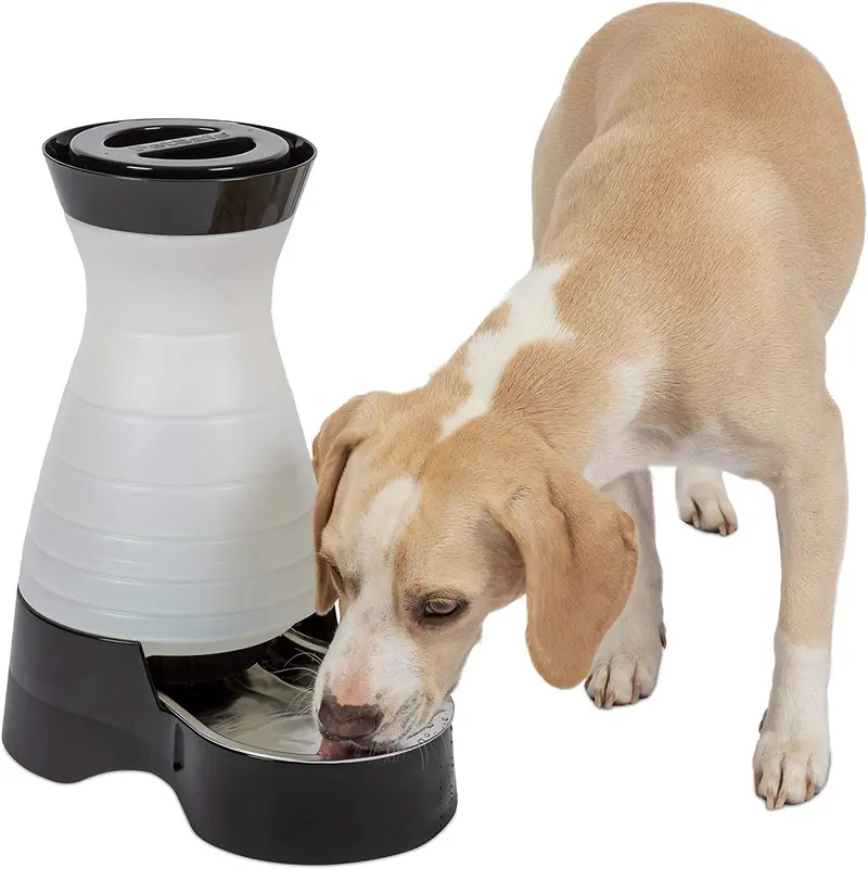 PetSafe Healthy Pet Estación de agua para perro y gato, Sistema de agua con tazón de acero inoxidable