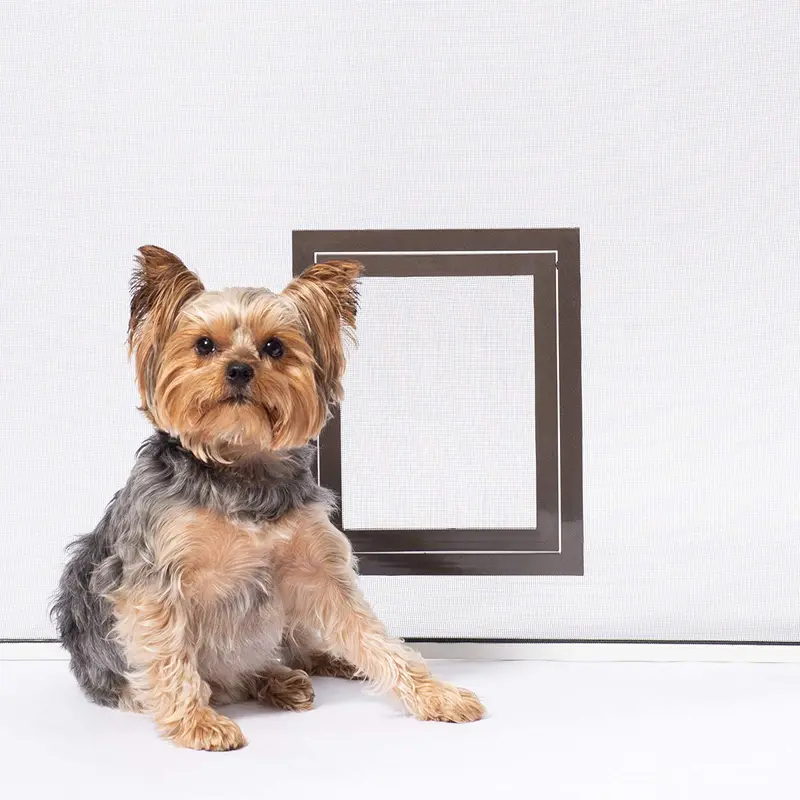 PetSafe - Puerta de protección para mascotas, para perros y gatos, para uso en puertas, ventanas y porches