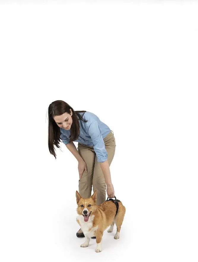 PetSafe Solvit CareLift Lifting Aid Harness for Dogs - Rear Only - Small, Medium, Large