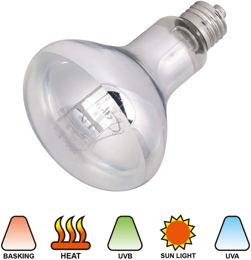 PETSPIONEER - Lámpara solar de 100 W para reptiles, tortugas, dragones y anfibios