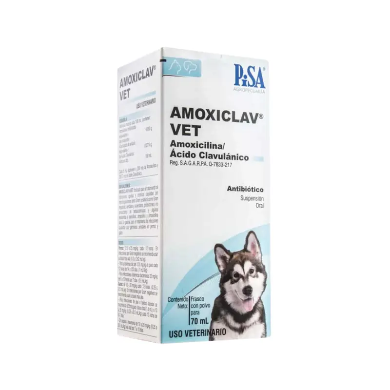 Pisa Amoxiclav Vet Polvo 70 Ml
