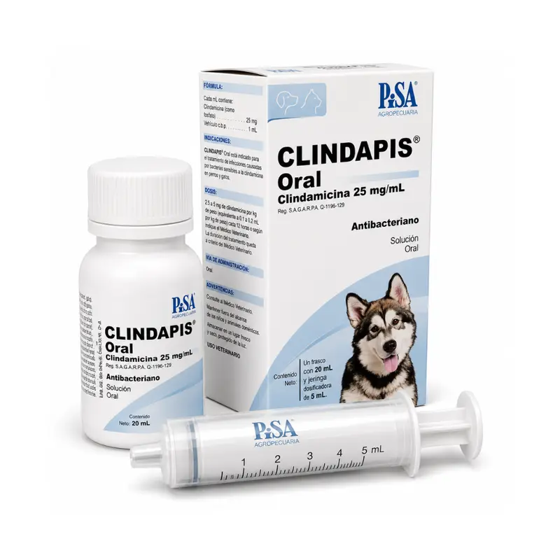Pisa Clindapis Oral 25Mg 20Ml