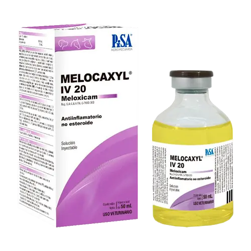 Pisa Melocaxyl Iv Inyectable 5Mg 20Ml