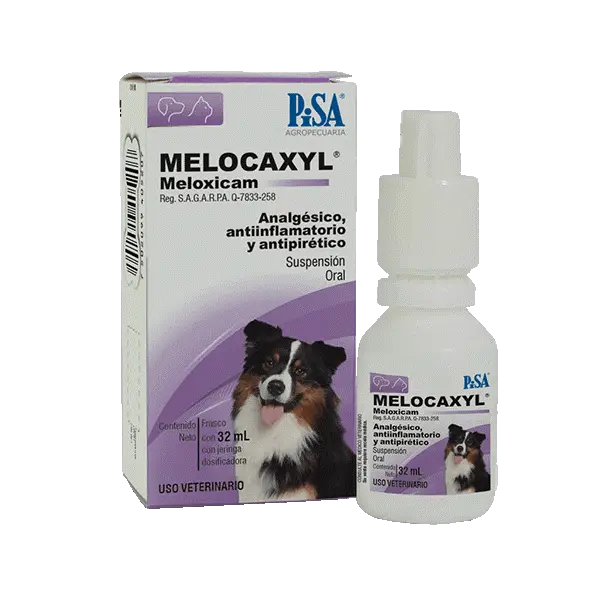 Pisa Melocaxyl Suspensión Oral 1.52Mg 32Ml