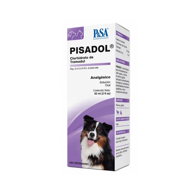 Pisa Pisadol 100Mg 10 Ml Oral