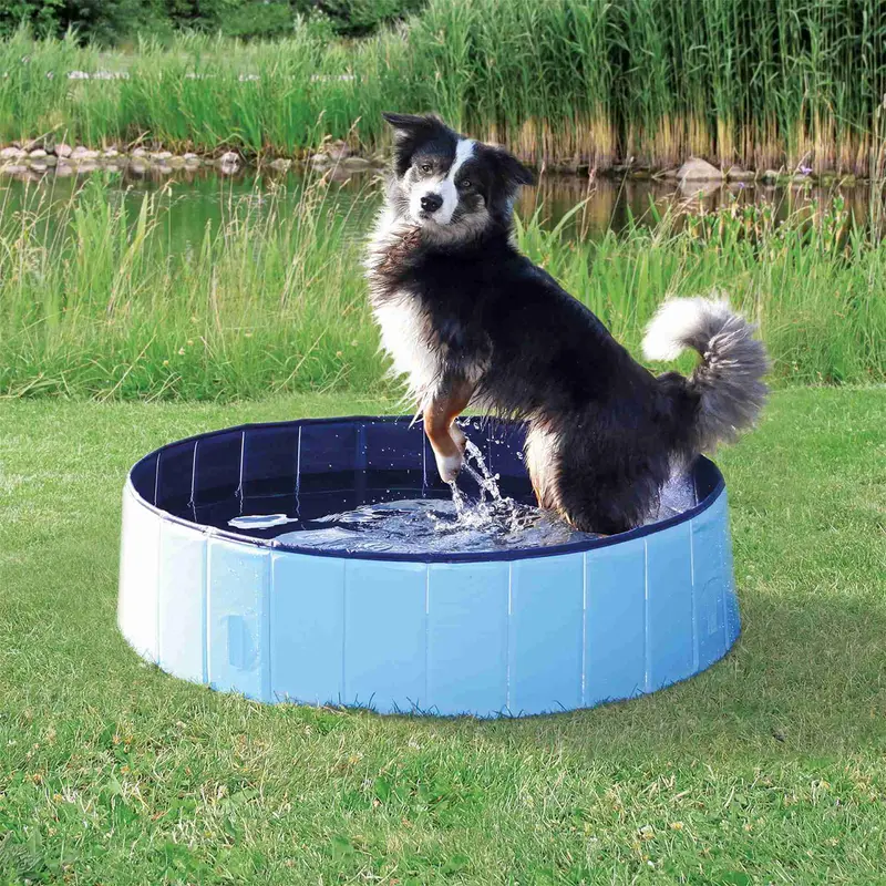 Piscina para perros