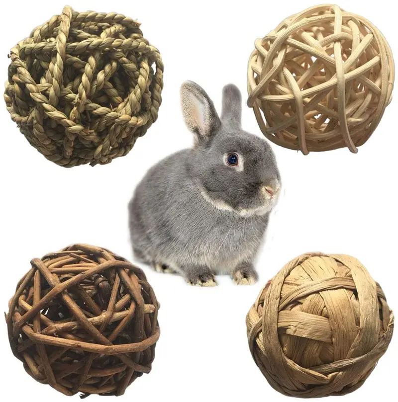 PIVBY Juguete de actividad para animales pequeños, juguetes de masticar para conejos, conejos, cobayas, gérbiles, 4 unidades