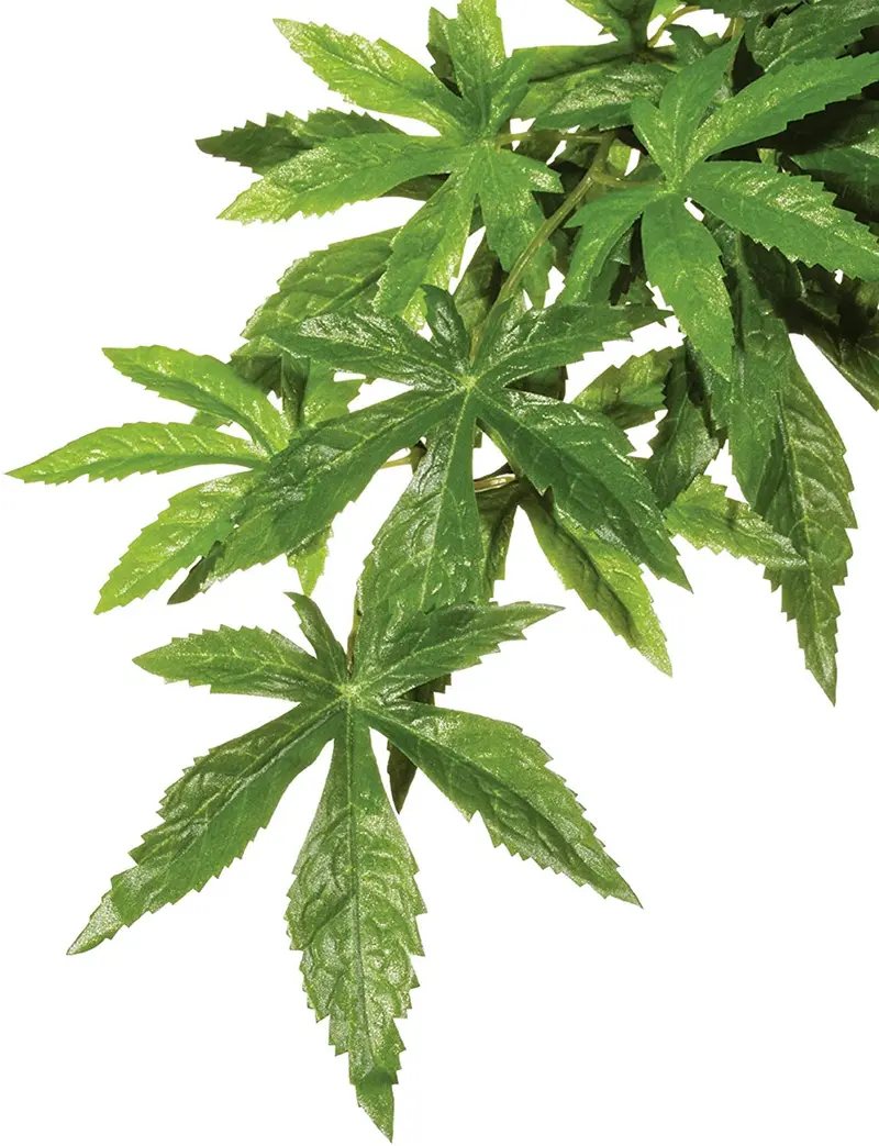 Planta de terrario de plástico, grande, mandarina, Exo Terra, L