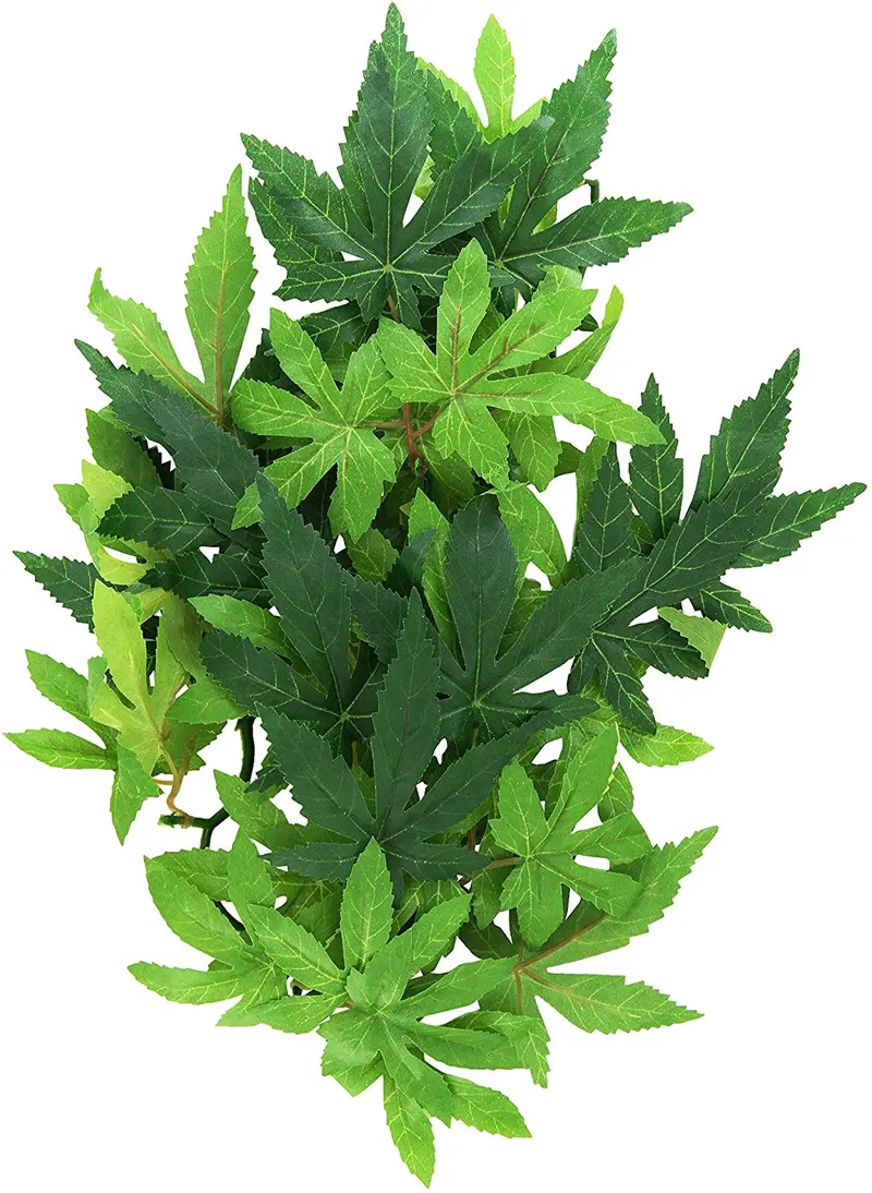 Planta de terrario de plástico, grande, mandarina, Exo Terra, M