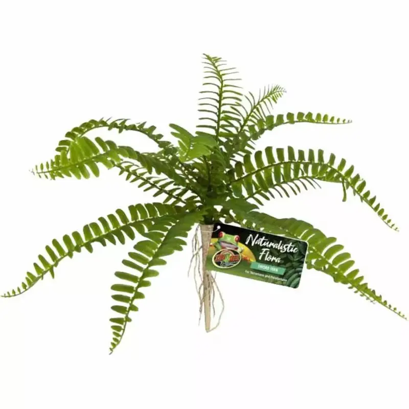 Planta Espada Bu-63 para Reptario