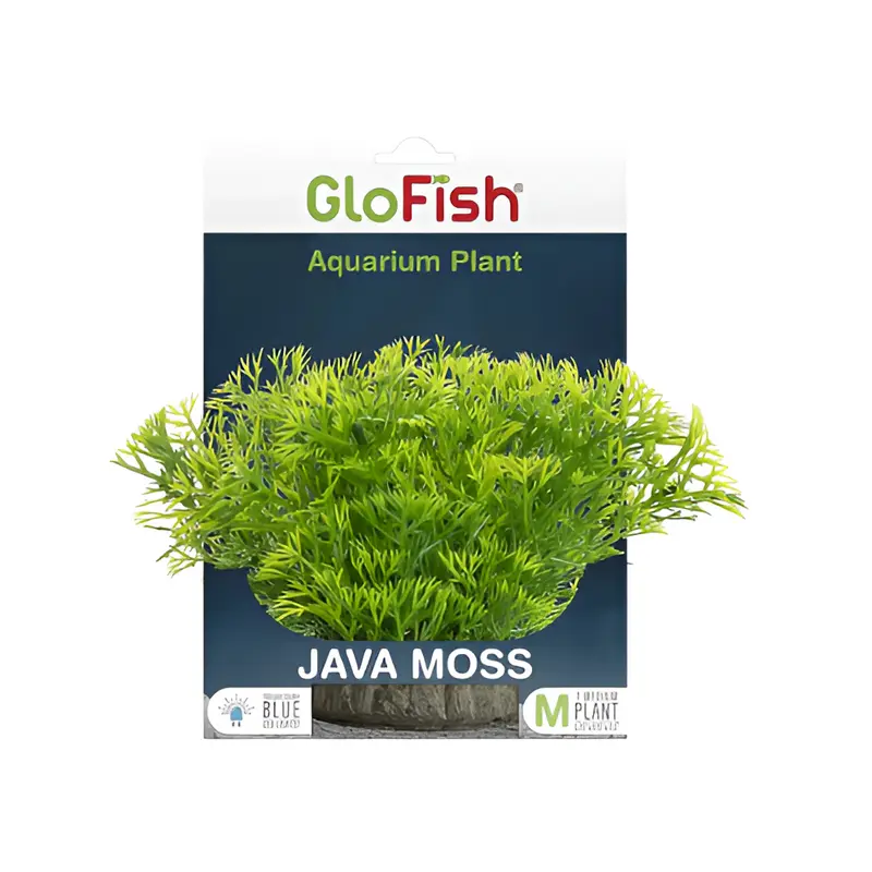 Planta Javamoss-Glofish -S