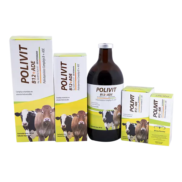Polivit B 12  + ADE Frasco con 50 ml