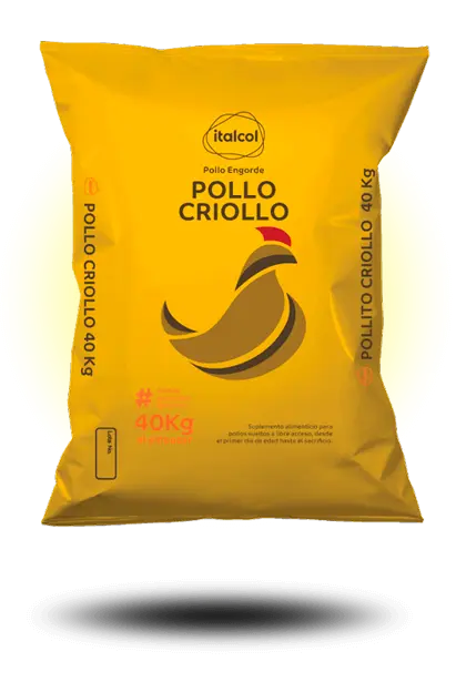 POLLO CRIOLLO Q (LEVANTE)
